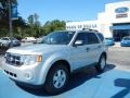 Ingot Silver Metallic - Escape XLT Photo No. 1