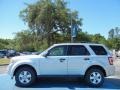 Ingot Silver Metallic - Escape XLT Photo No. 2