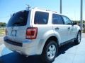 Ingot Silver Metallic - Escape XLT Photo No. 3