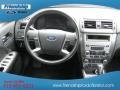 2010 Sterling Grey Metallic Ford Fusion SEL  photo #20
