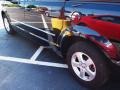 Blackberry Metallic - Grand Caravan SXT Photo No. 4