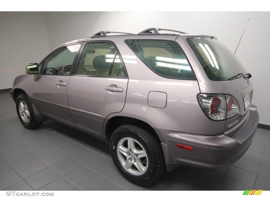 2001 RX 300 - Sunset Mist Pearl / Black photo #5
