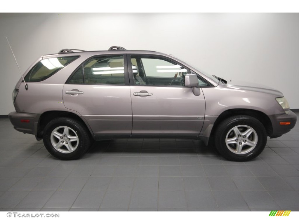 2001 RX 300 - Sunset Mist Pearl / Black photo #7