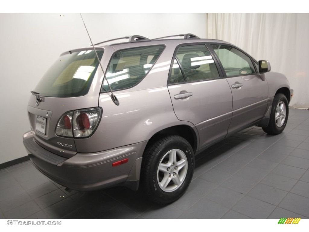 2001 RX 300 - Sunset Mist Pearl / Black photo #11