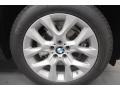 2013 Titanium Silver Metallic BMW X5 xDrive 35i Premium  photo #6