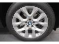 2013 Titanium Silver Metallic BMW X5 xDrive 35i Premium  photo #8