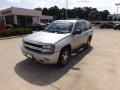 Silverstone Metallic - TrailBlazer LS Photo No. 1