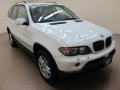 Alpine White - X5 3.0i Photo No. 1