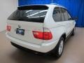 Alpine White - X5 3.0i Photo No. 9