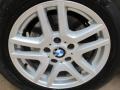 Alpine White - X5 3.0i Photo No. 13