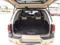 Sandstone Metallic - TrailBlazer LS Photo No. 19