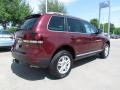 Cranberry Red Metallic - Touareg 2 VR6 Photo No. 5