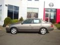 Bronze Shimmer - Sentra 1.8 S Photo No. 3