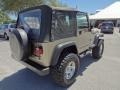 2003 Light Khaki Metallic Jeep Wrangler SE 4x4  photo #8