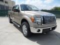 2012 Pale Adobe Metallic Ford F150 XLT SuperCrew 4x4  photo #1