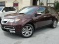 Dark Cherry Pearl 2010 Acura MDX Advance Exterior