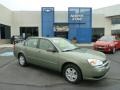 2005 Silver Green Metallic Chevrolet Malibu LS V6 Sedan  photo #1