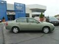 2005 Silver Green Metallic Chevrolet Malibu LS V6 Sedan  photo #2