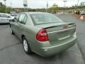 2005 Silver Green Metallic Chevrolet Malibu LS V6 Sedan  photo #5