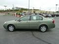 2005 Silver Green Metallic Chevrolet Malibu LS V6 Sedan  photo #6