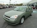 2005 Silver Green Metallic Chevrolet Malibu LS V6 Sedan  photo #7