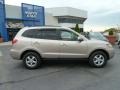 Golden Beige - Santa Fe GLS 4WD Photo No. 2