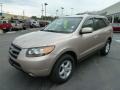 Golden Beige - Santa Fe GLS 4WD Photo No. 7