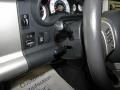 Titanium Metallic - FJ Cruiser 4WD Photo No. 8