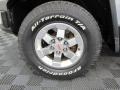 Titanium Metallic - FJ Cruiser 4WD Photo No. 27