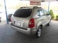 Sahara Silver - Tucson GLS V6 4x4 Photo No. 30