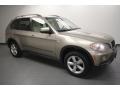 Platinum Bronze Metallic - X5 3.0si Photo No. 1