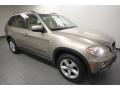 Platinum Bronze Metallic - X5 3.0si Photo No. 8