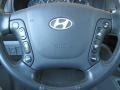 2007 Platinum Sage Hyundai Santa Fe Limited 4WD  photo #32