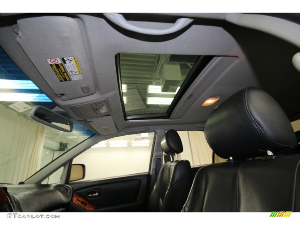 2001 RX 300 - Sunset Mist Pearl / Black photo #26