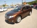 2010 Sunset Bronze Mica Toyota Venza I4  photo #12