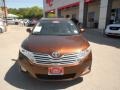 2010 Sunset Bronze Mica Toyota Venza I4  photo #14