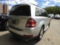 2009 Iridium Silver Metallic Mercedes-Benz GL 320 BlueTEC 4Matic  photo #5