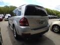 2009 Iridium Silver Metallic Mercedes-Benz GL 320 BlueTEC 4Matic  photo #7