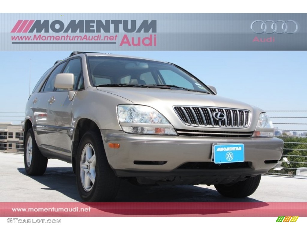 2001 RX 300 - Burnished Gold Metallic / Ivory photo #1