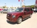 2009 Royal Red Metallic Ford Expedition Limited  photo #17