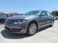 Platinum Gray Metallic - Passat 2.5L SEL Photo No. 1