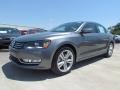 Platinum Gray Metallic - Passat V6 SE Photo No. 1