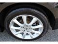 2006 Acura TSX Sedan Wheel and Tire Photo