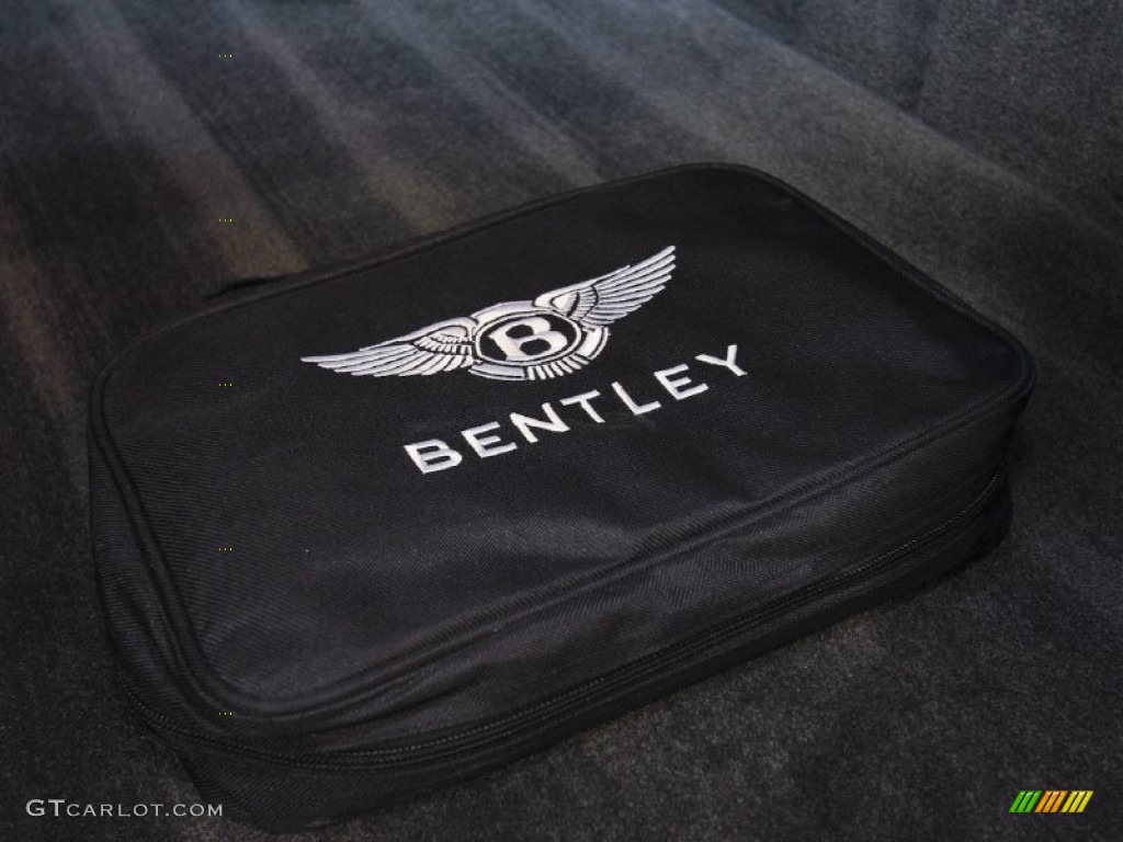 2009 Continental Flying Spur Mulliner - Glacier White / Burnt Oak photo #122