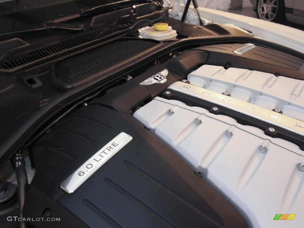 2009 Continental Flying Spur Mulliner - Glacier White / Burnt Oak photo #135