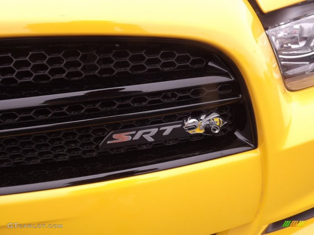2012 Dodge Charger SRT8 Super Bee Marks and Logos Photo #64432751