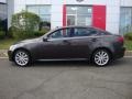 Truffle Mica 2010 Lexus IS 250 AWD Exterior