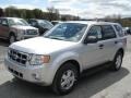 2012 Ingot Silver Metallic Ford Escape XLT V6 4WD  photo #4