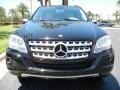 Black - ML 350 4Matic Photo No. 3