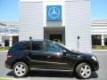 Black - ML 350 4Matic Photo No. 5